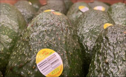 México enviará 132 mil toneladas de aguacate para el Super Bowl LV