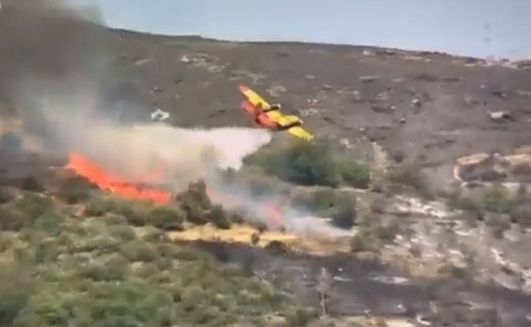 Un avión se estrelló mientras extinguía un incendio en la isla griega de Eubea. Foto: Captura de pantalla