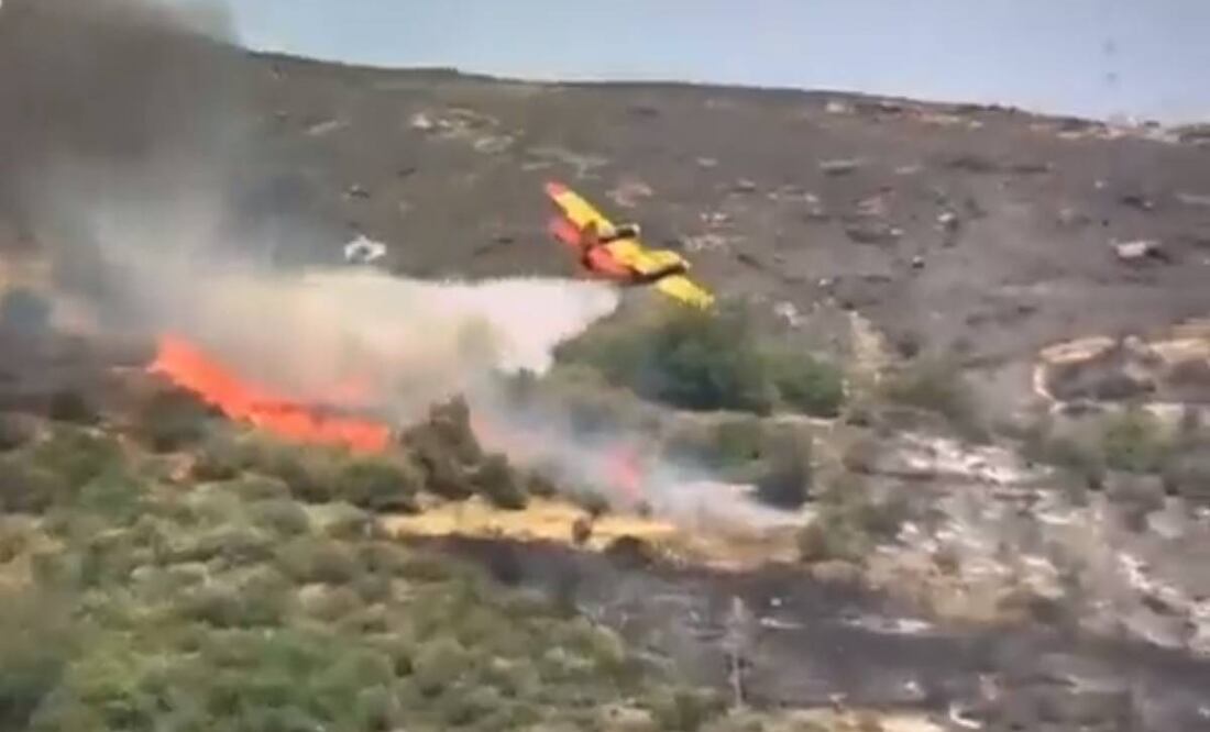 Un avión se estrelló mientras extinguía un incendio en la isla griega de Eubea. Foto: Captura de pantalla