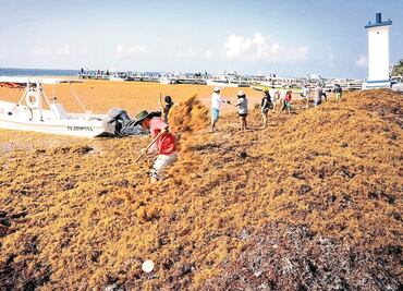 Sargazo, amenaza internacional para el sector turístico
