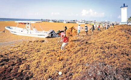 Sargazo, amenaza internacional para el sector turístico