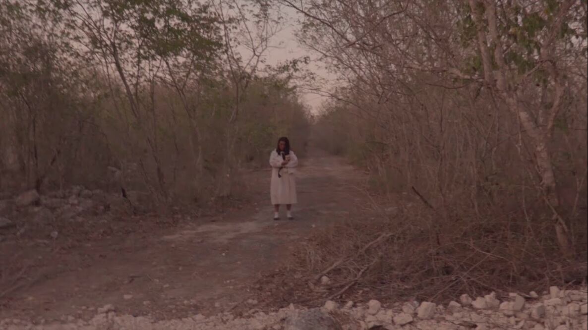 "Pandemonium" forma parte de la edición 2021 de Feratum, Festival Internacional de Cine Fanstástico, Terror y SCI-FI.