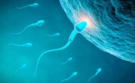 Estrés y tabaquismo una de las causas de infertilidad masculina