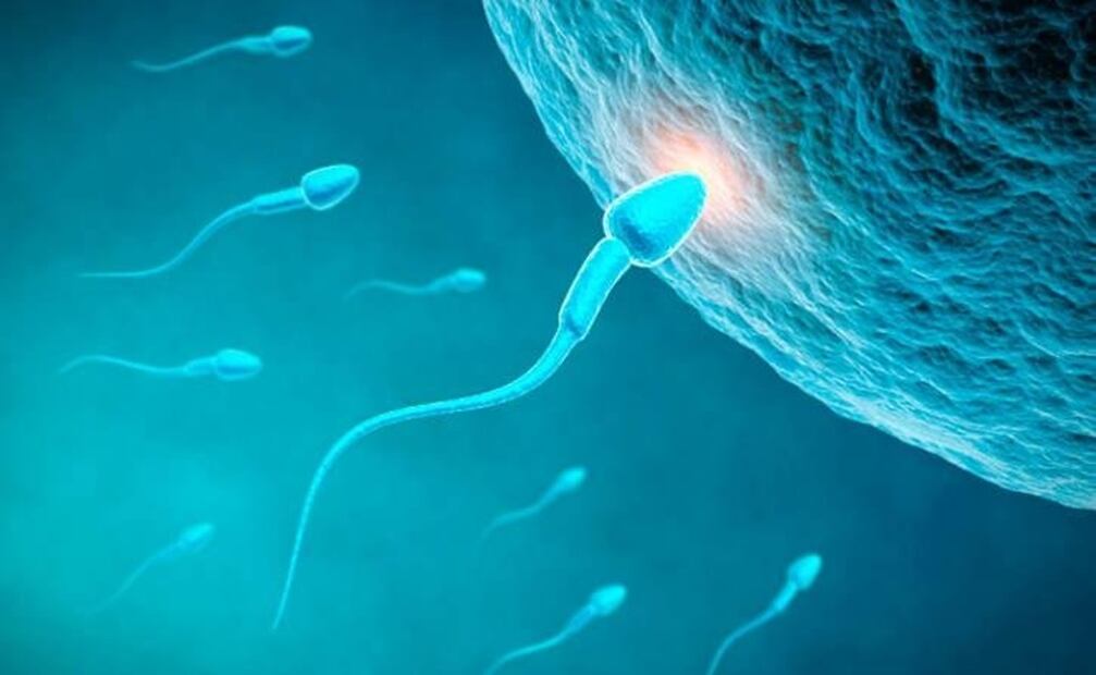 Infertilidad. Foto: EFE