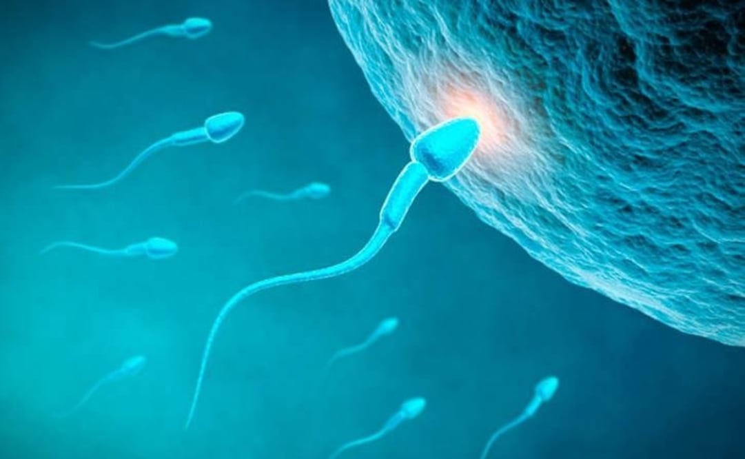 Foto: Especial. Vía EFE