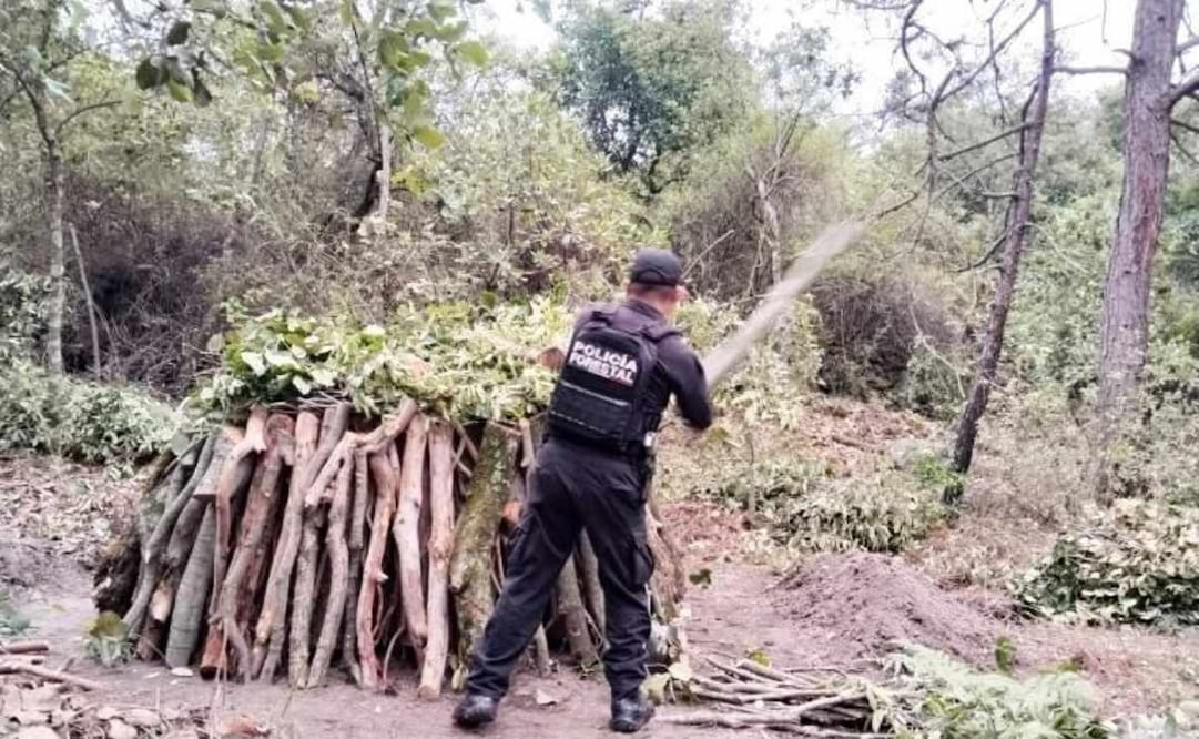Policía Forestal destruye 11 hornos clandestinos en Puebla; combaten procesamiento ilegal de madera.
Foto: Especial.