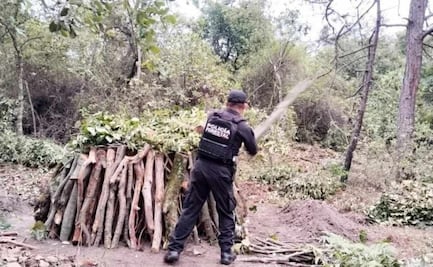 Policía Forestal destruye 11 hornos clandestinos en Puebla; combaten procesamiento ilegal de madera
