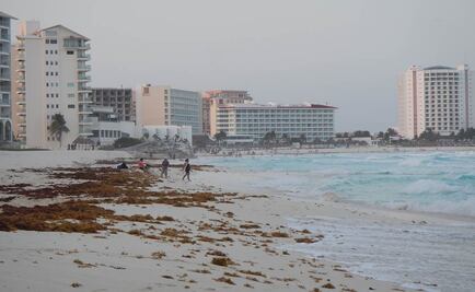 Piden recolección inmediata de sargazo en playas de Cancún