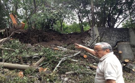 Caen árboles y un muro tras deslave en zona de Naucalpan