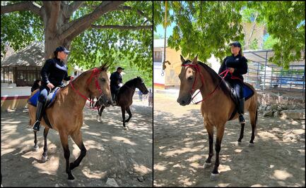 “Siempre fue uno de mis sueños ser policía”: Perla patrulla a caballo en Tamaulipas