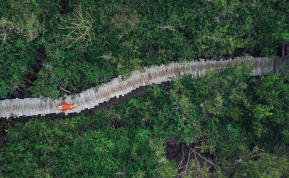 8 hoteles, haciendas y glampings que tienen su propio cenote