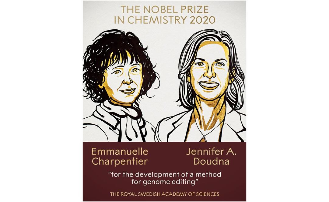 Foto: Tomada de Twitter @NobelPrize