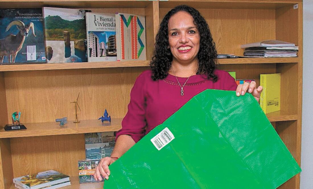 Andrée Lilian Guigue, directora de Evaluación de Impacto y Regulación Ambiental, recordó que en la Ciudad se generan 13 mil toneladas de desechos al día. Foto: ESPECIAL