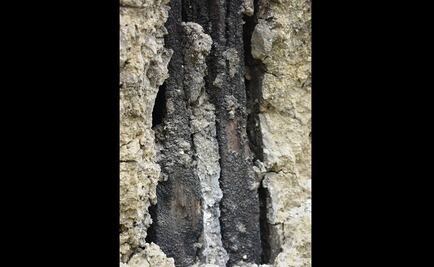 Hallan restos de 200 veteranos de la guerra de Independencia de Cuba