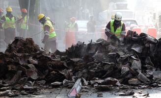 FOTOS: Nueva imagen urbana, palmeras serán sustituidas por árboles en vialidades de la CDMX