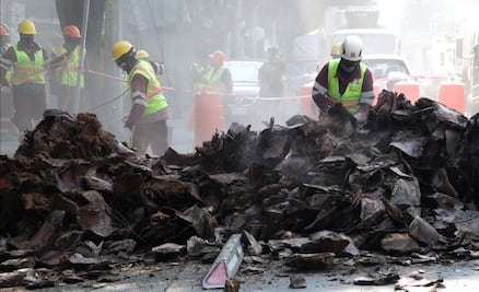 FOTOS: Nueva imagen urbana, palmeras serán sustituidas por árboles en vialidades de la CDMX