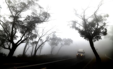 Por fin llueve en Australia y le da "pausa" a meses de sequía 