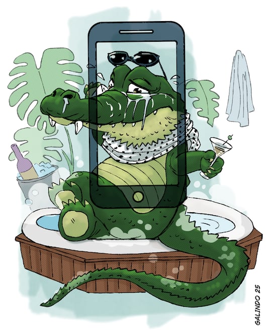 Cartón de Galindo