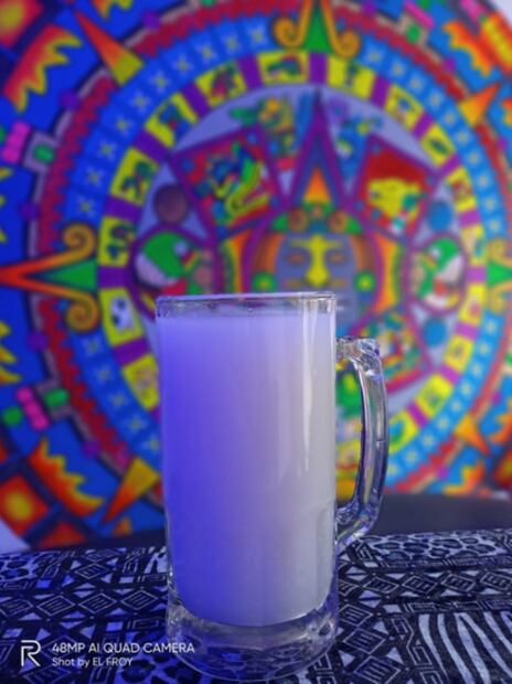 ¡Que comiencen las celebraciones! Cinvestav vela por la conservación del buen pulque