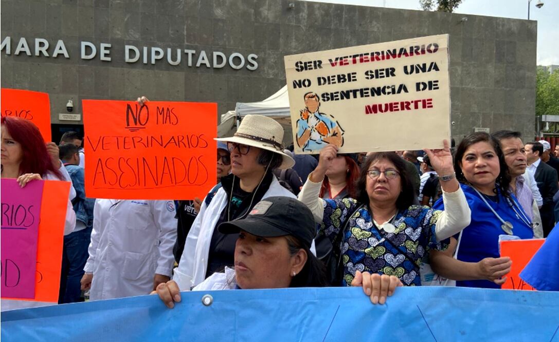 Veterinarios exigen justicia por el asesinato de Héctor Hernández Cañas el pasado 9 de febrero en Tultepec, Estado de México. Foto: Sharon Mercado/EL UNIVERSAL