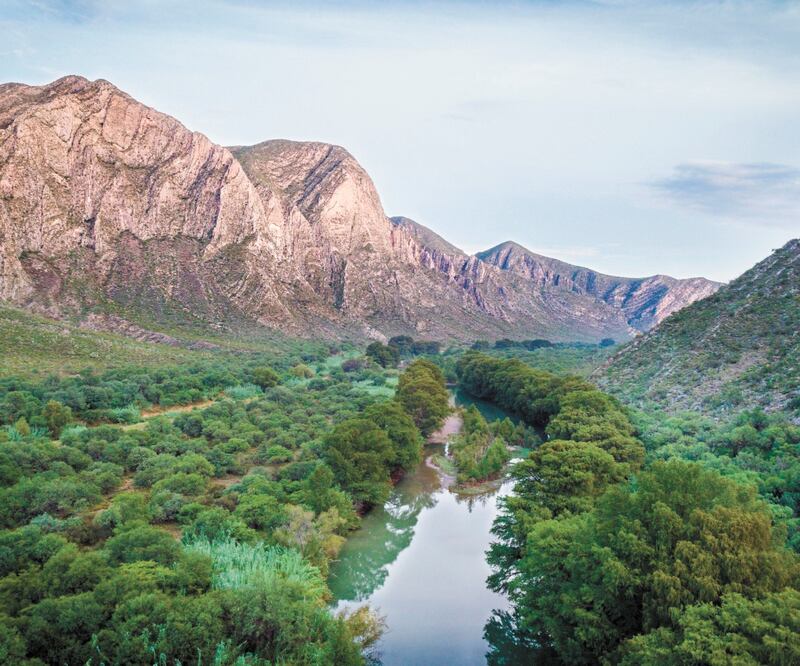 Valor. La biodiversidad es indispensable para el bienestar humano y combatir la pobreza, explicaron organizaciones civiles. Foto/ARCHIVO EL UNIVERSAL