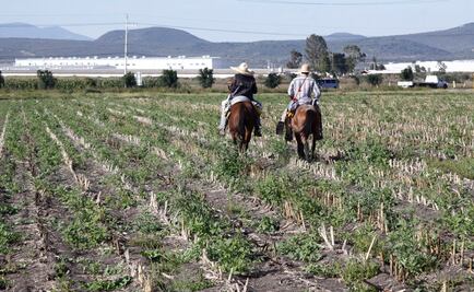 Destaca Sedatu instalación de Consejos Agrarios en pro de campesinos