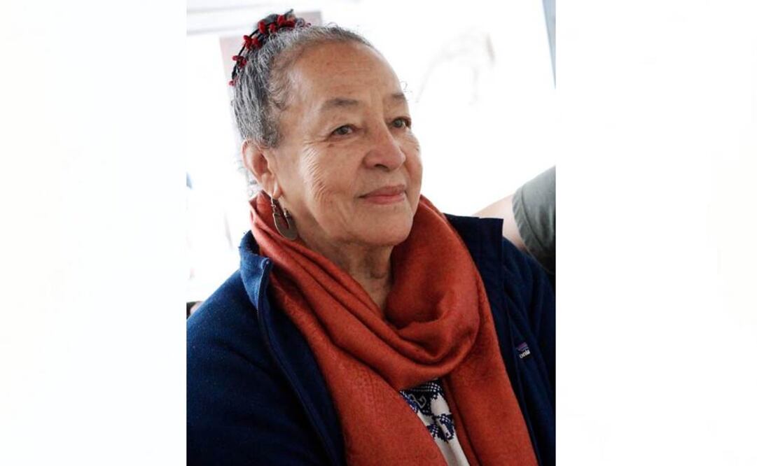 Sagaón recibió la Medalla "Miguel Covarrubias" en 2013 (FOTO: tomada de veracruz.gob.mx)