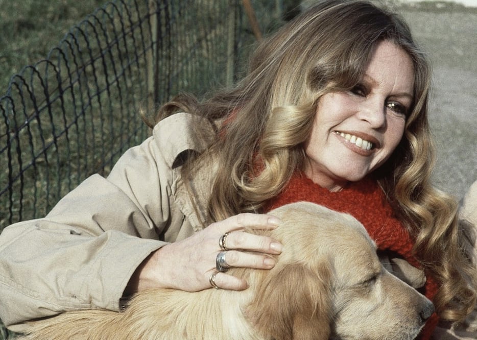 Brigitte Bardot, actriz francesa (1934 - 2025)
Foto: AP, archivo