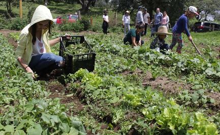 La UE y EU crean plataforma para fomentar la agricultura sostenible