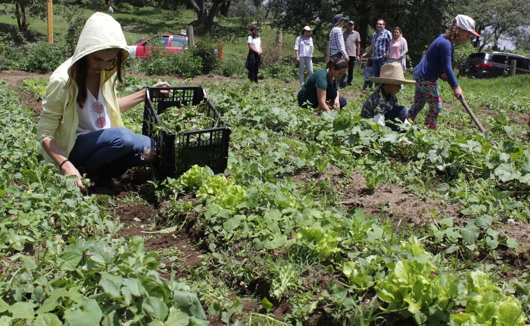 Foto: Issa Plancarte