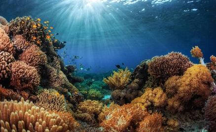 Destroyer ship to be sunk and transformed into an artificial reef