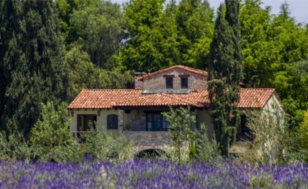 Sigue la ruta del vino en San Miguel de Allende y sus alrededores