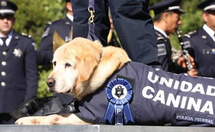 "Jubila" PF a nueve oficiales caninos