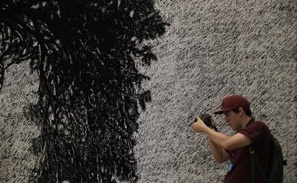 La UNAM anuncia nuevos cursos de arte y fotografía online