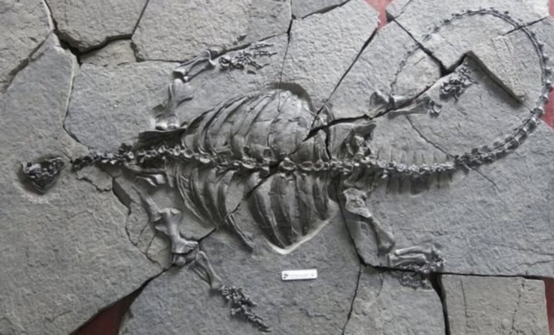 Foto: National Museum of Scotland