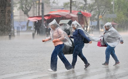 Lluvias fuertes en CDMX dejan al menos 20 árboles caídos y 16 encharcamientos; varios inmuebles quedaron afectados en Iztapalapa y Coyoacán