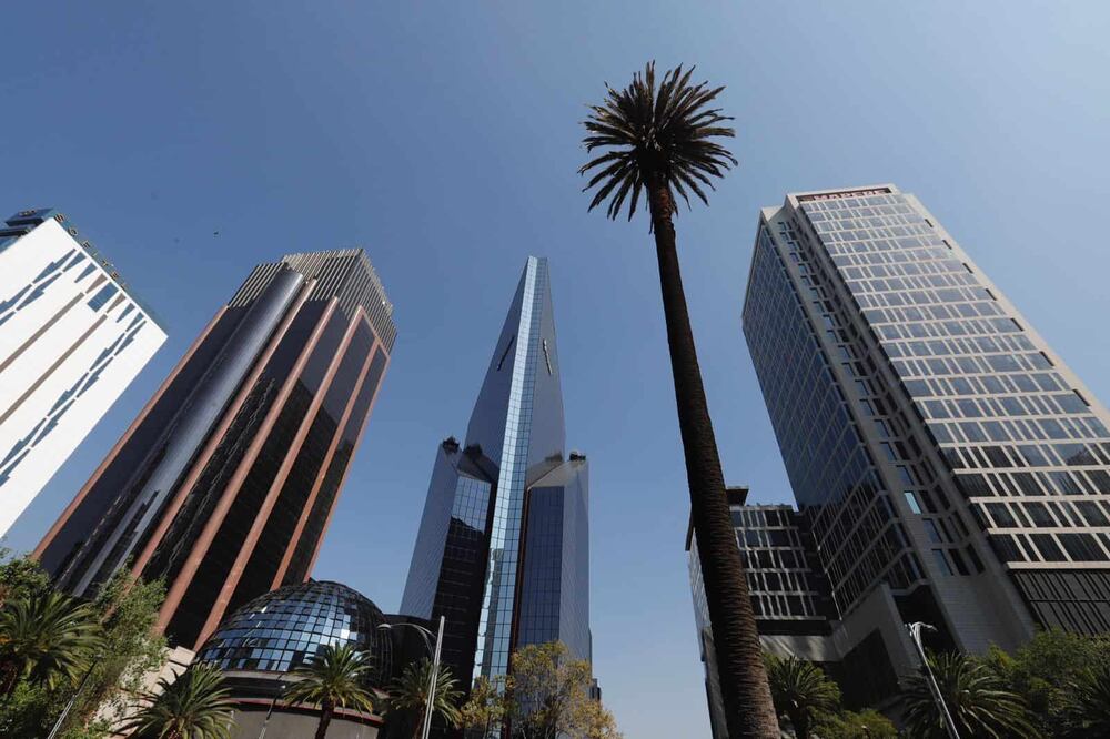 Autoridades informaron que las labores para retirar la palma de Reforma podrían llevar hasta 4 horas. Foto: Berenice Fregoso EL UNIVERSAL