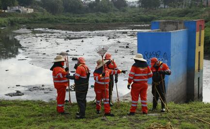 Recolectan 600 toneladas en ríos y barrancas de Puebla