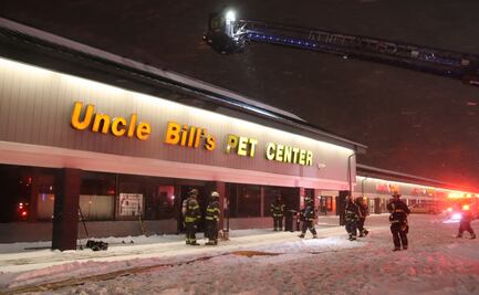 Mueren al menos 100 animales durante incendio en tienda de mascotas de EU