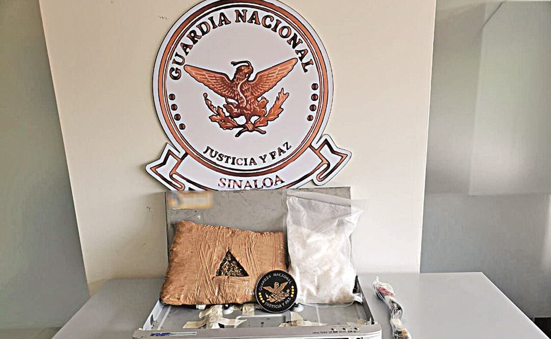 Un binómio canino fue el que detectó los estupefacientes. Foto: CORTESÍA GN