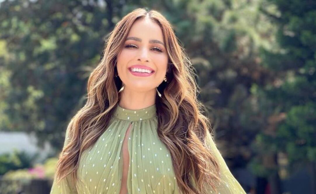 La conductora de 38 años cumple el sueño de ser mamá. Instagram cynoficial.