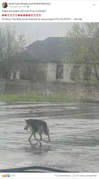 Publicación perrito EU