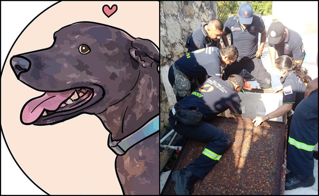 Fotos: Facebook DogVader / Protección Civil Guerrero