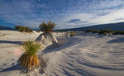 Ecosistemas de México presentes en Canal 22