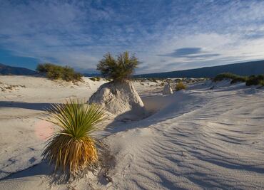Ecosistemas de México presentes en Canal 22