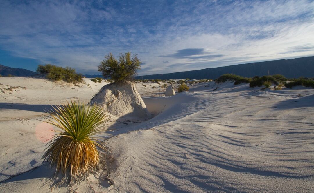 Foto: Iván Montes de Oca Cacheux / CONABIO
