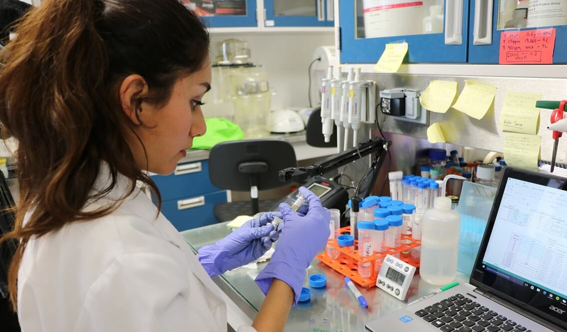 Entre sus líneas de acción, el Peciti menciona que se apoyará a estudiantes y académicos con becas y estímulos en bien del conocimiento científico del país. Fotos: Cortesía Cinvestav