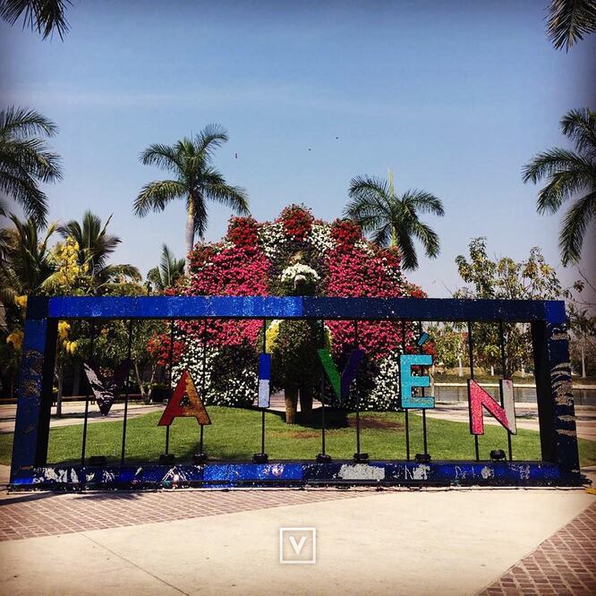 Foto: Instagram @festivalvaiven