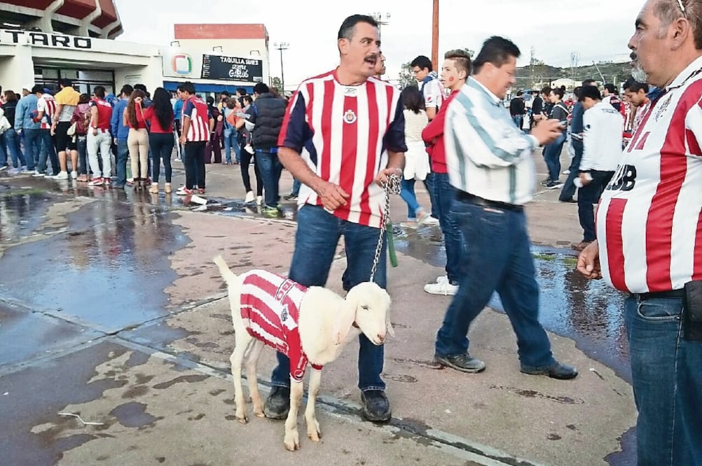 Romualdo y “M atía s” viajaron a Querétaro desde Tlaquepaque (EDGAR LUNA. EL UNIVERSAL)