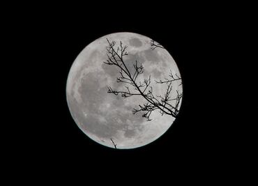 Luna de Gusano 2025; ¿cuando ver el fenómeno astronómico en México?